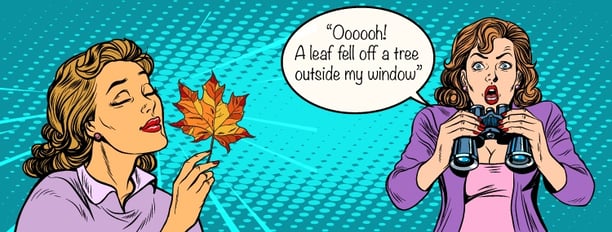 Leaf.jpg